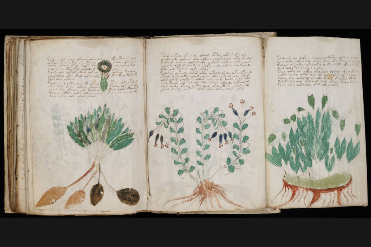 Manoscritto Voynich