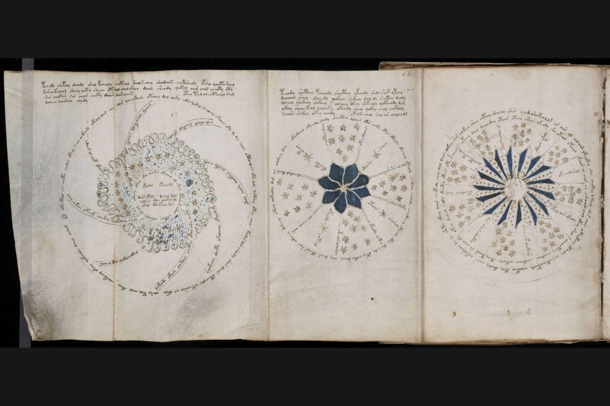 Il manoscritto Voynich