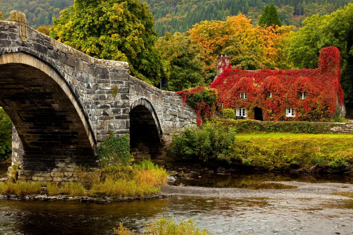 Il mito di Re Bran e altre leggende gallesi