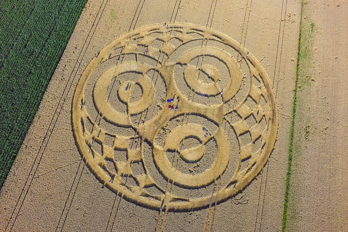 La verità sui cerchi nel grano
