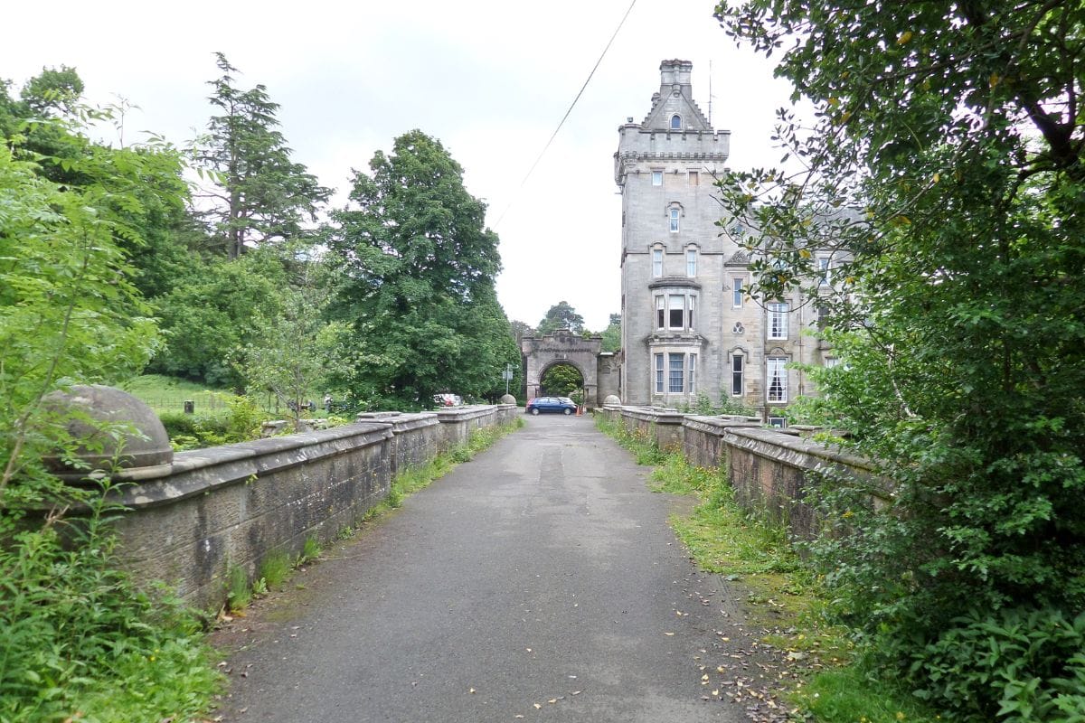 Il ponte dei cani suicidi
