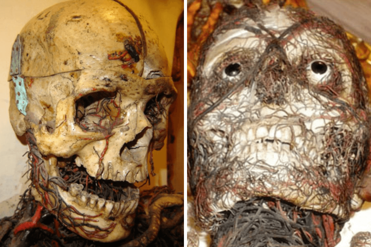 Le Macchine anatomiche