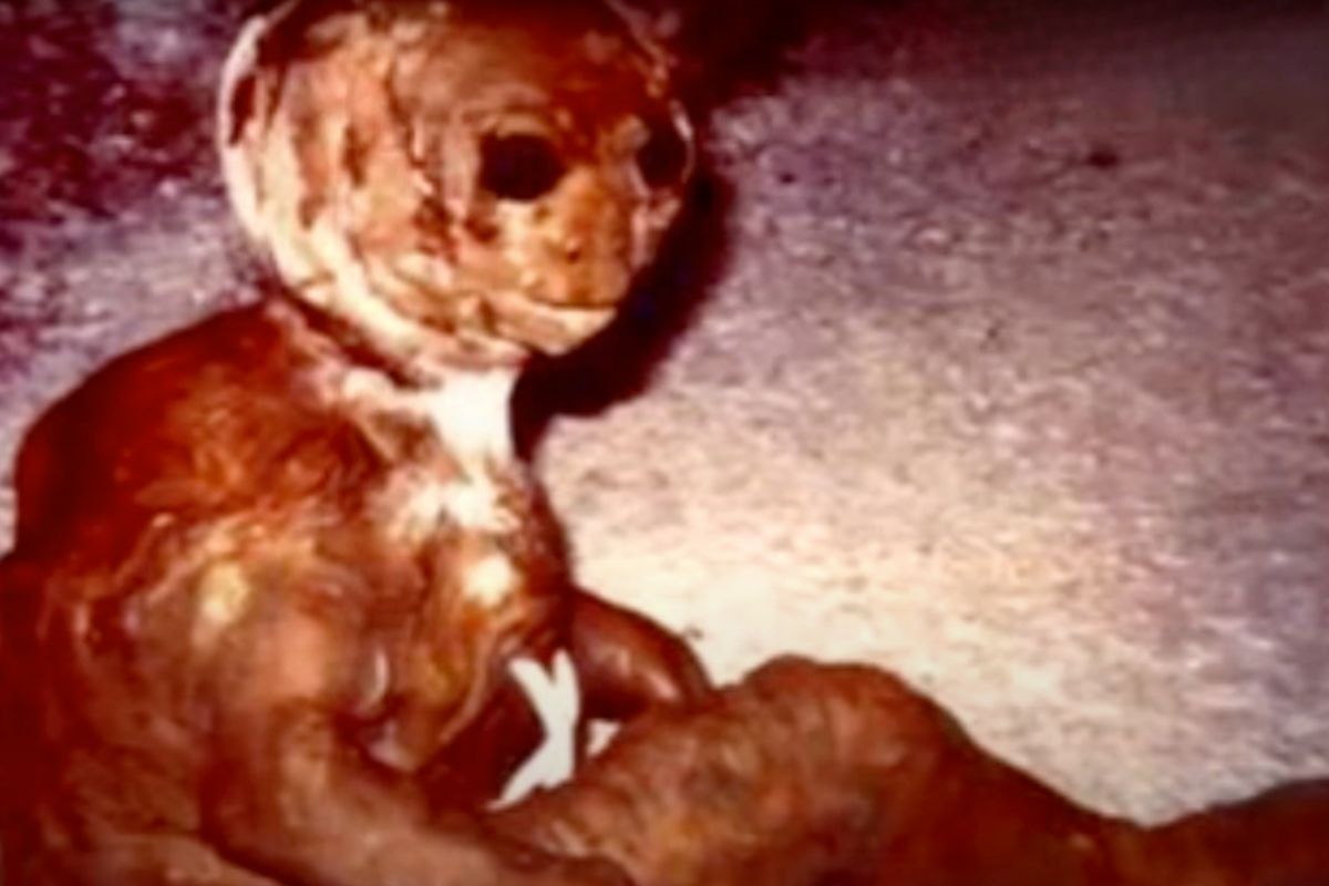 extraterrestre del caso caponi