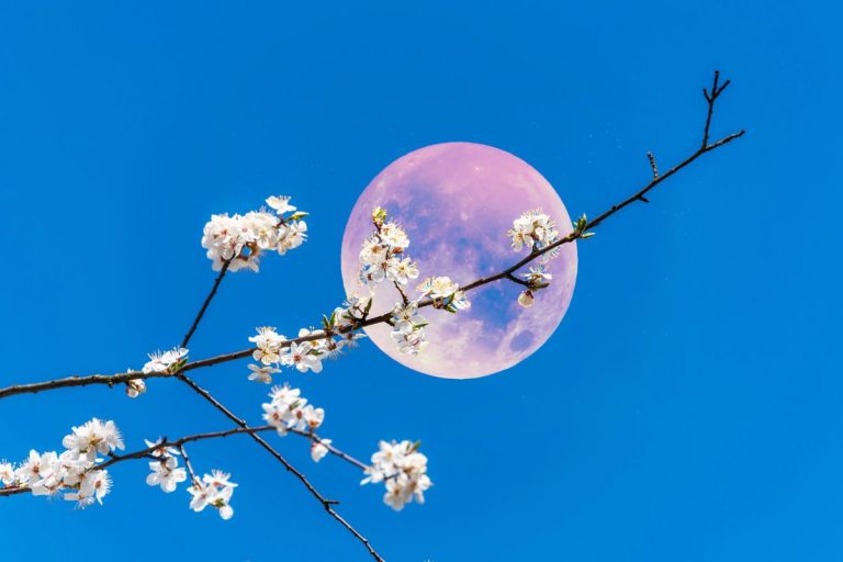 leggenda del coniglio lunare