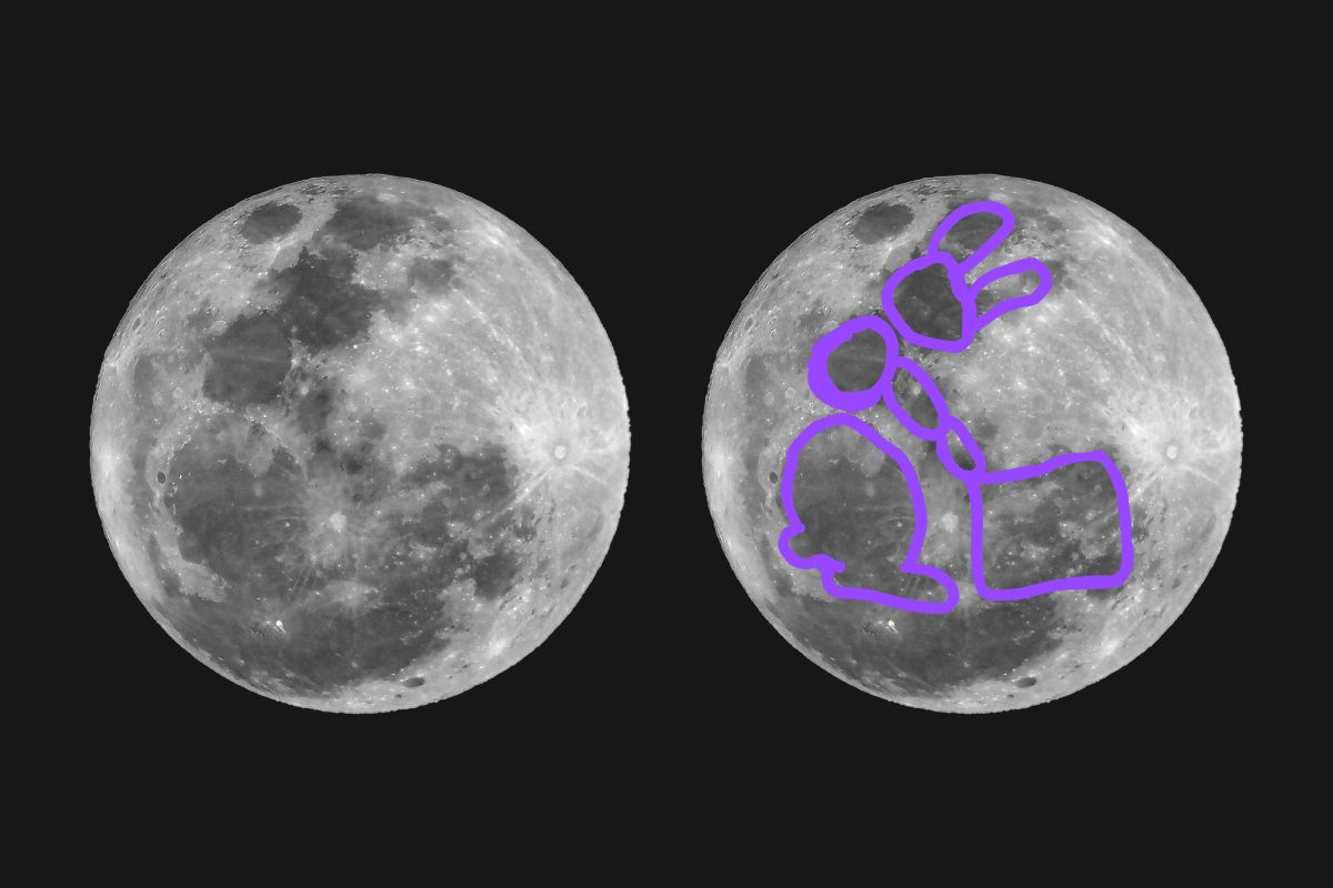 coniglio lunare