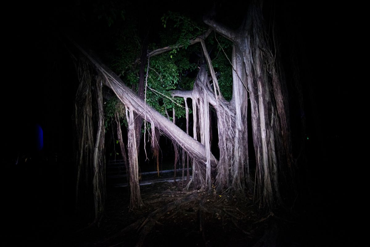 teorie dei luoghi maledetti